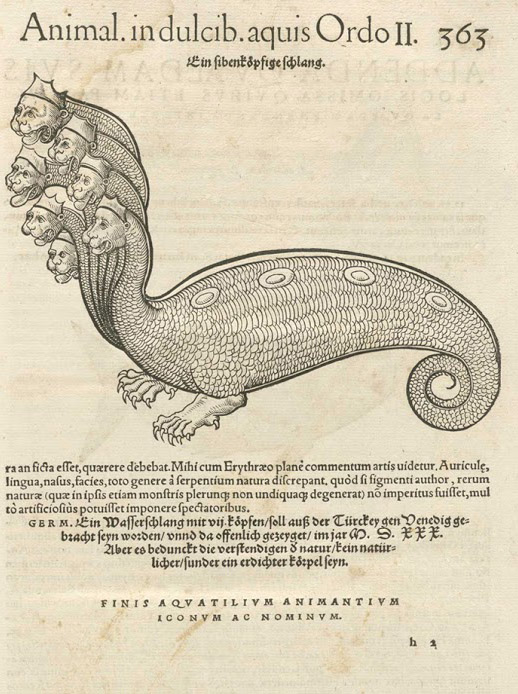 i+Diseño. Lernaean Hydra, 1530, Alemania.