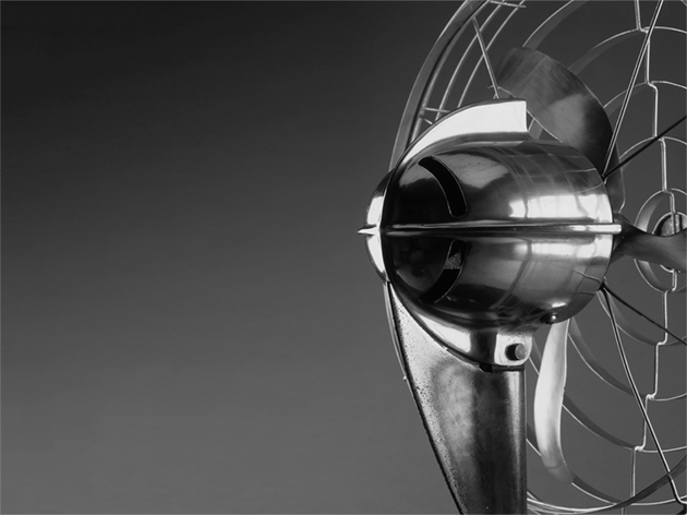 i+Diseño. Silvestre