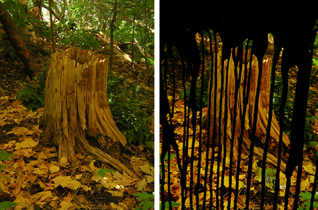  1. (Izquierda) Bosque previo / (Derecha) Bosque deconstruido (Marco Antonio Marín). La fotografía original fue tomada en un bosque en cuyo proceso de deconstrucción se pretendió representar a modo de un lienzo de pintura el chorreo de la misma, con la intención de que el observador descubra por sí mismo los componentes de la  primera imagen.